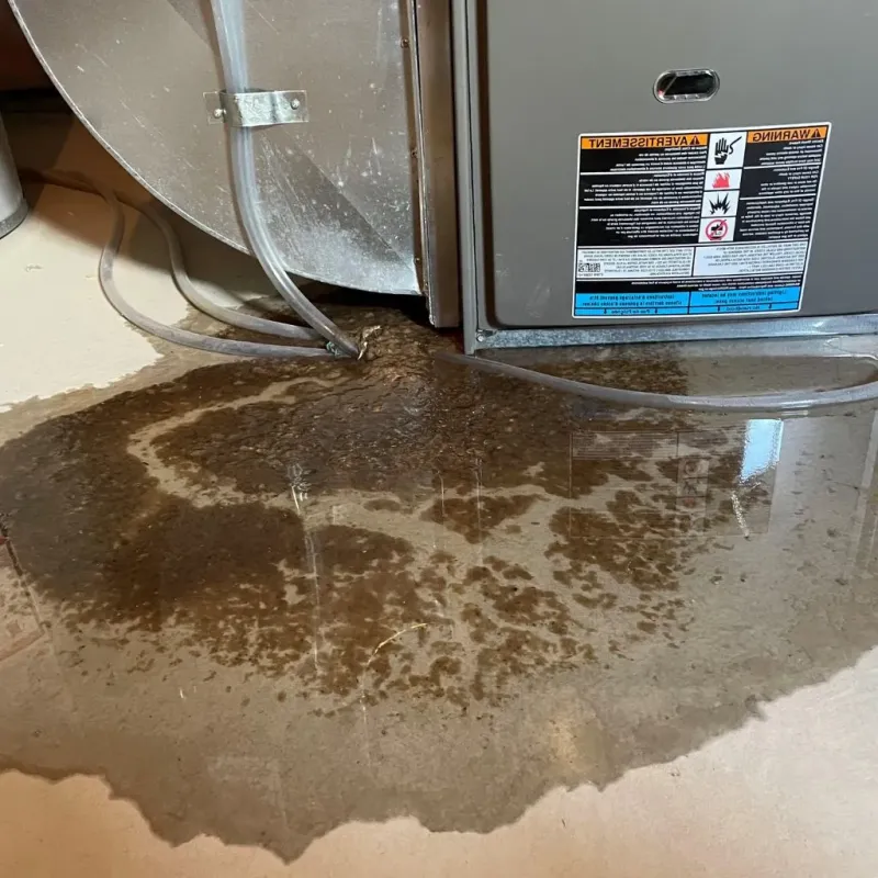 Pipe Burst and Leak Restoration in Frankfort, NY